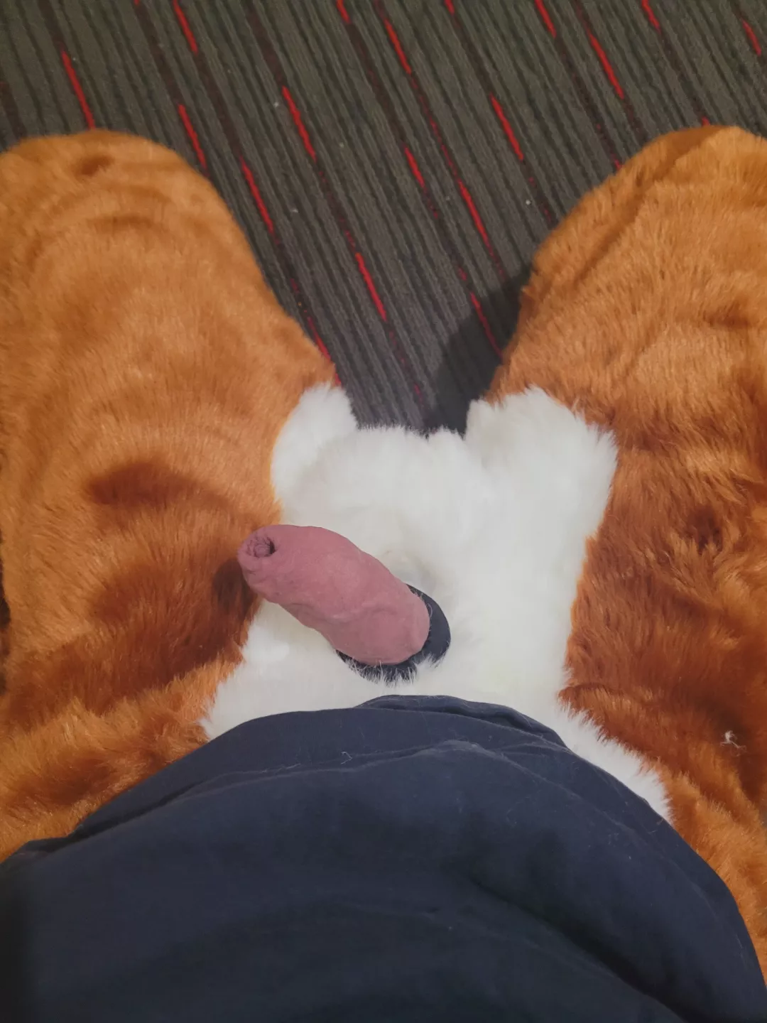 Fluffy Fox Pants With A Sneaky Sheath Motivation
