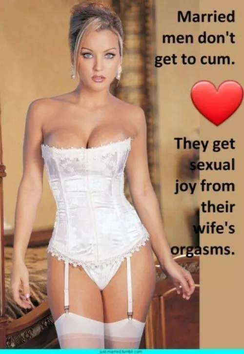 Husbands aren't there to fuck their wives. They're to support their wives as they get better sex from better cocks. 