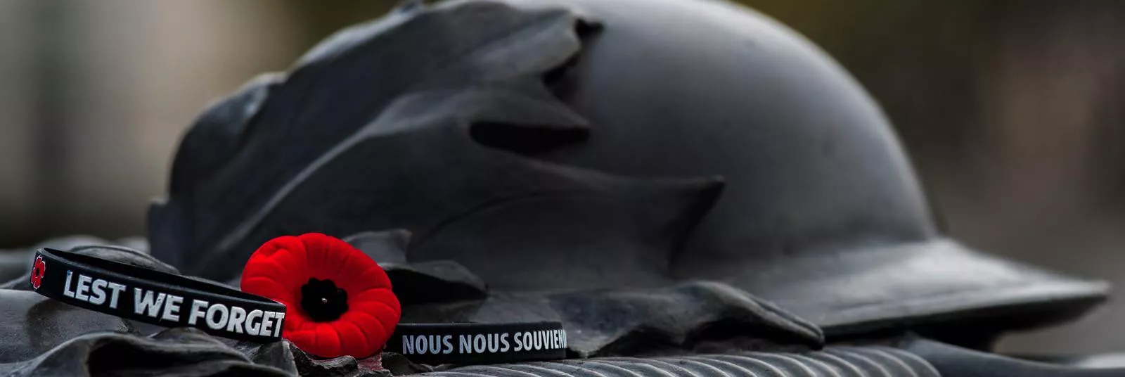 I think we should start a trend for this time a year. “F-uck a veteran week. ” Obviously to show our support to the Veteran community (.) (.) 🌺