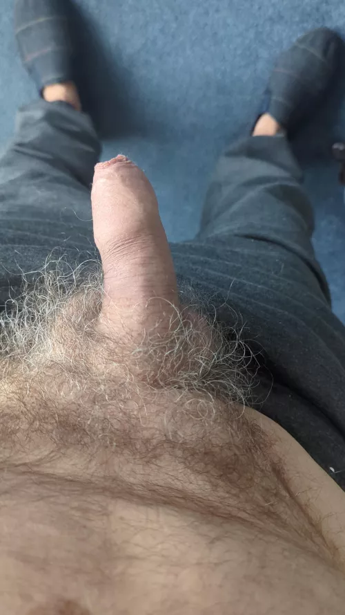 My old cock