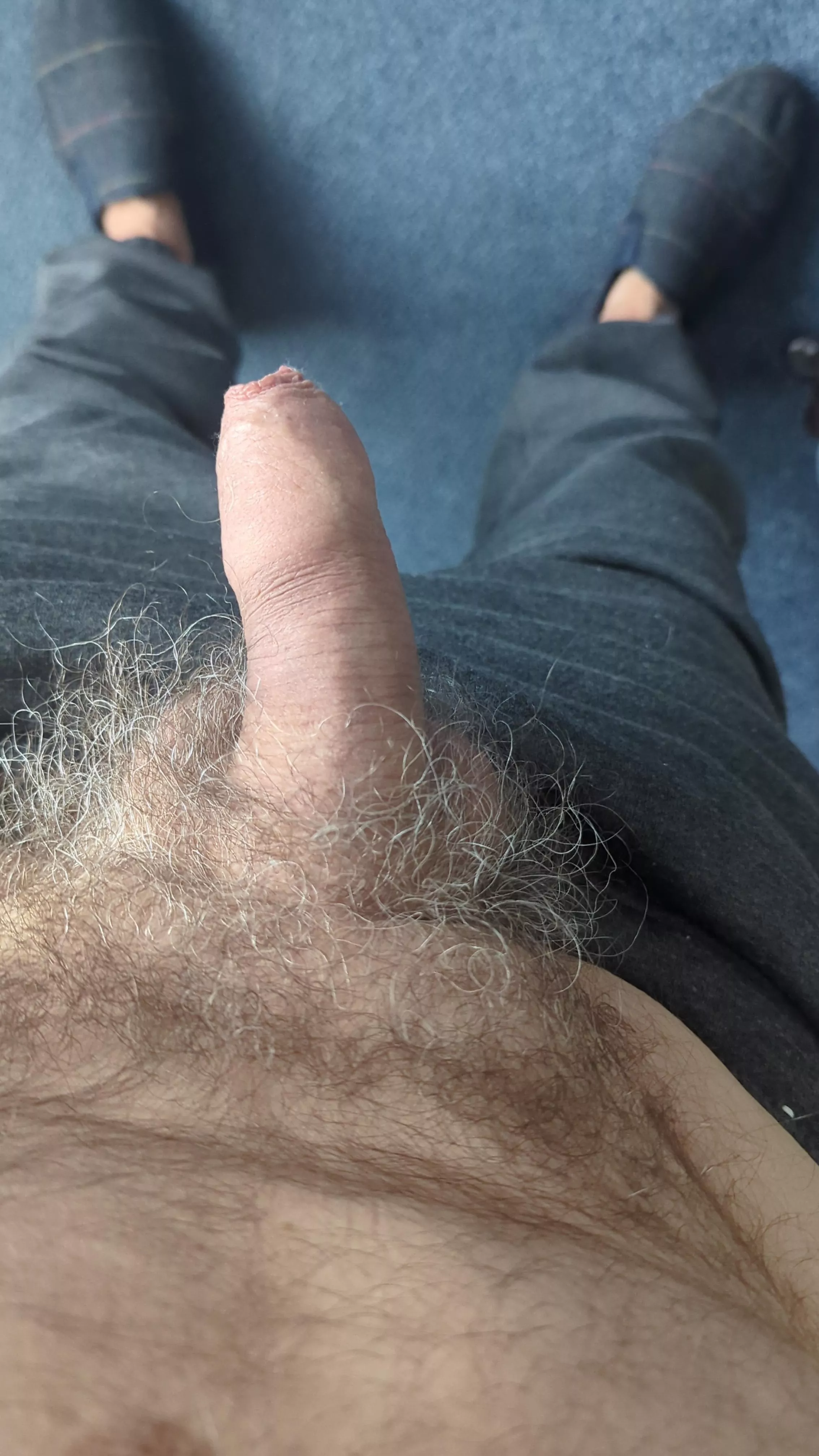 My old cock