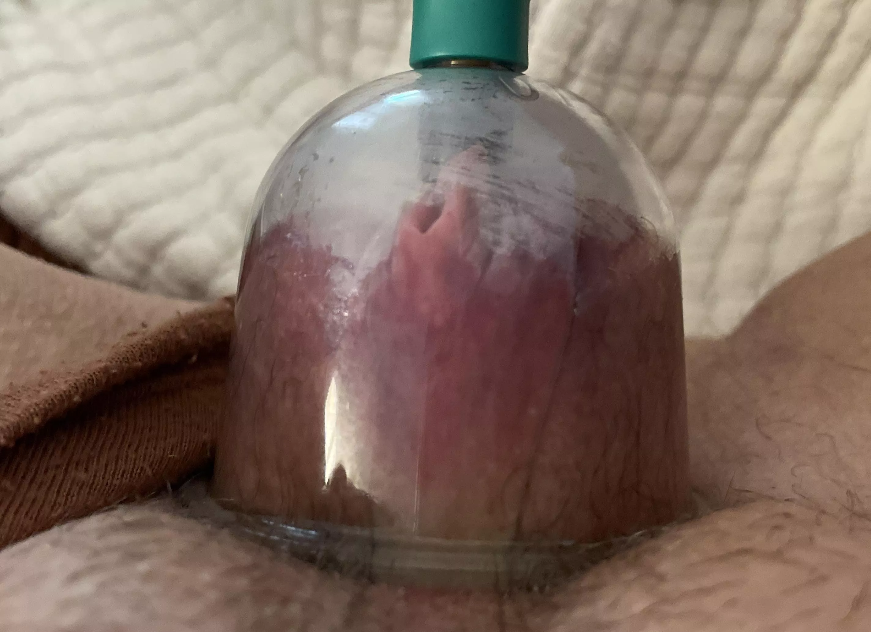 New here [f]or my pussy