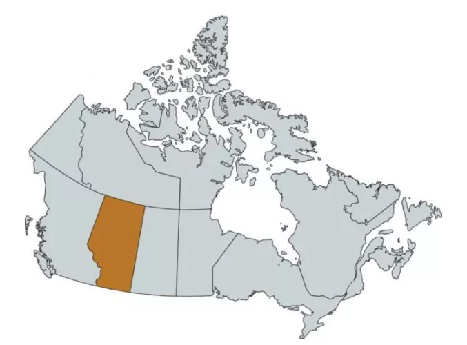 /r/AlbertaPornCreators - This is a new group for Alberta residents and visitors that is for people interested in filming/ making porn and finding connections within the province to collaborate and create content together as a community! People outside of