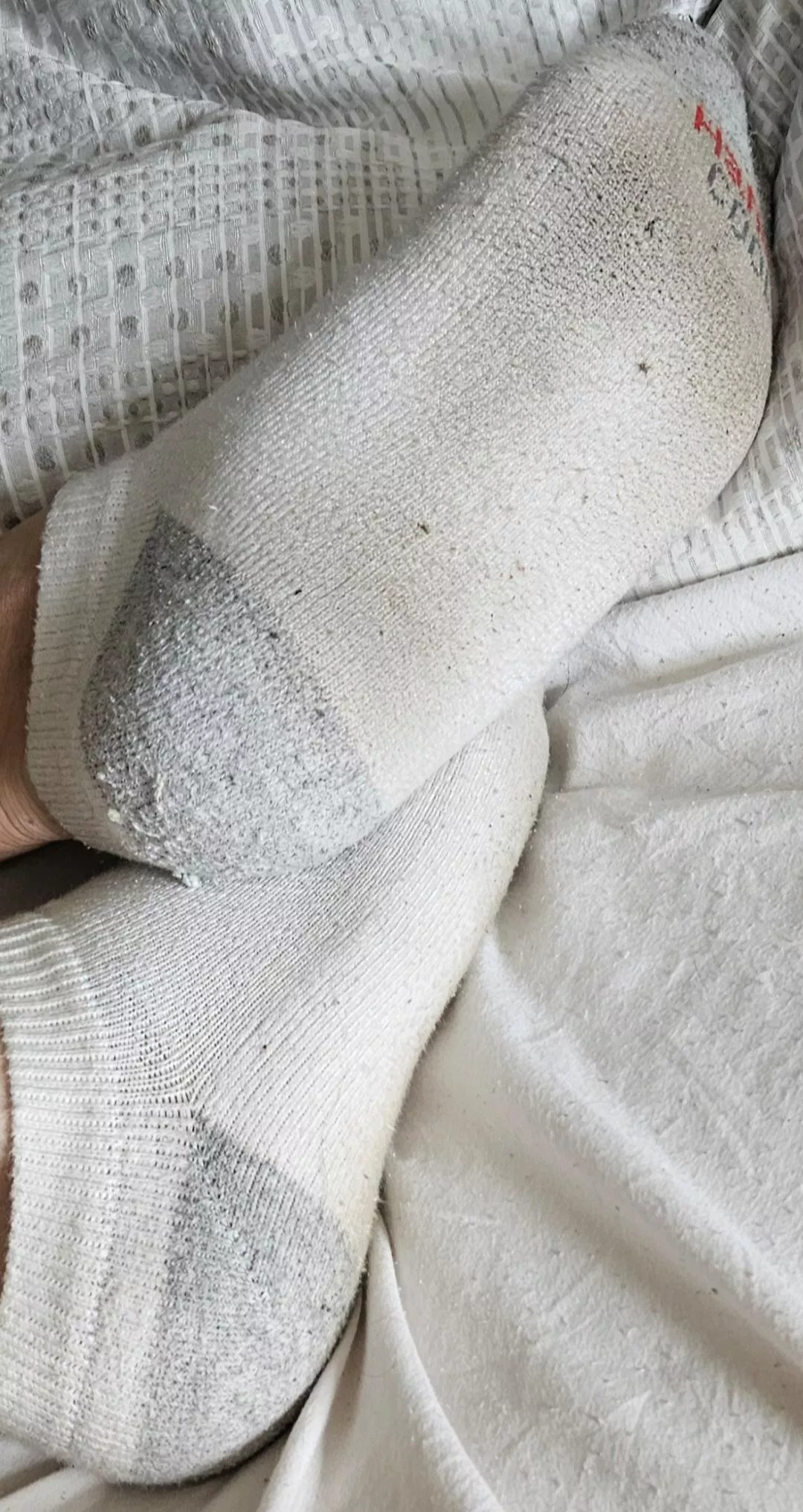 Snuck a pic of my BF's socked feet. What would you do with these? 