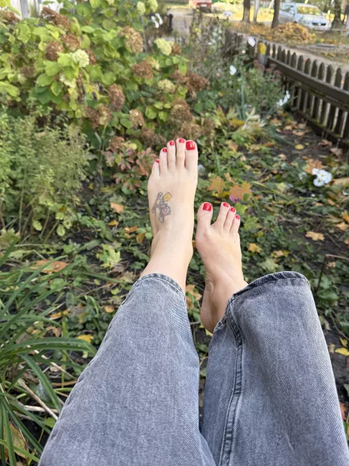 Start licking my foot!