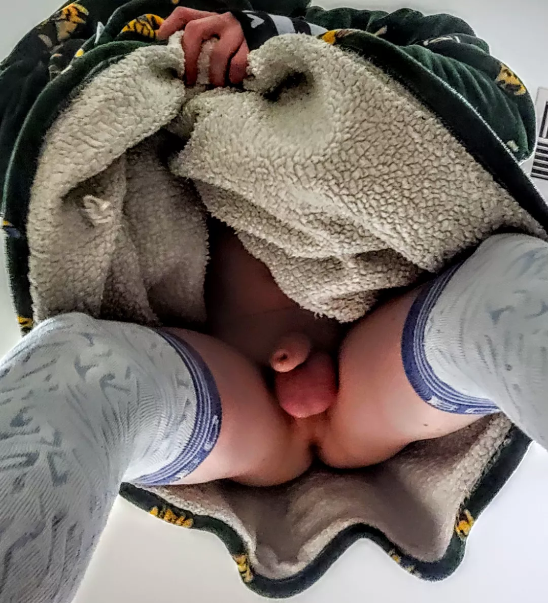 Who Wants A Good Pup For Themselfs?