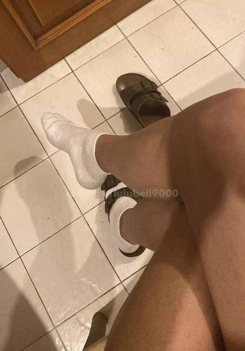 Can you resist my white smelly socks? [TF]