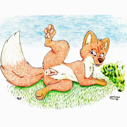 Fox in heat (by yordraw)