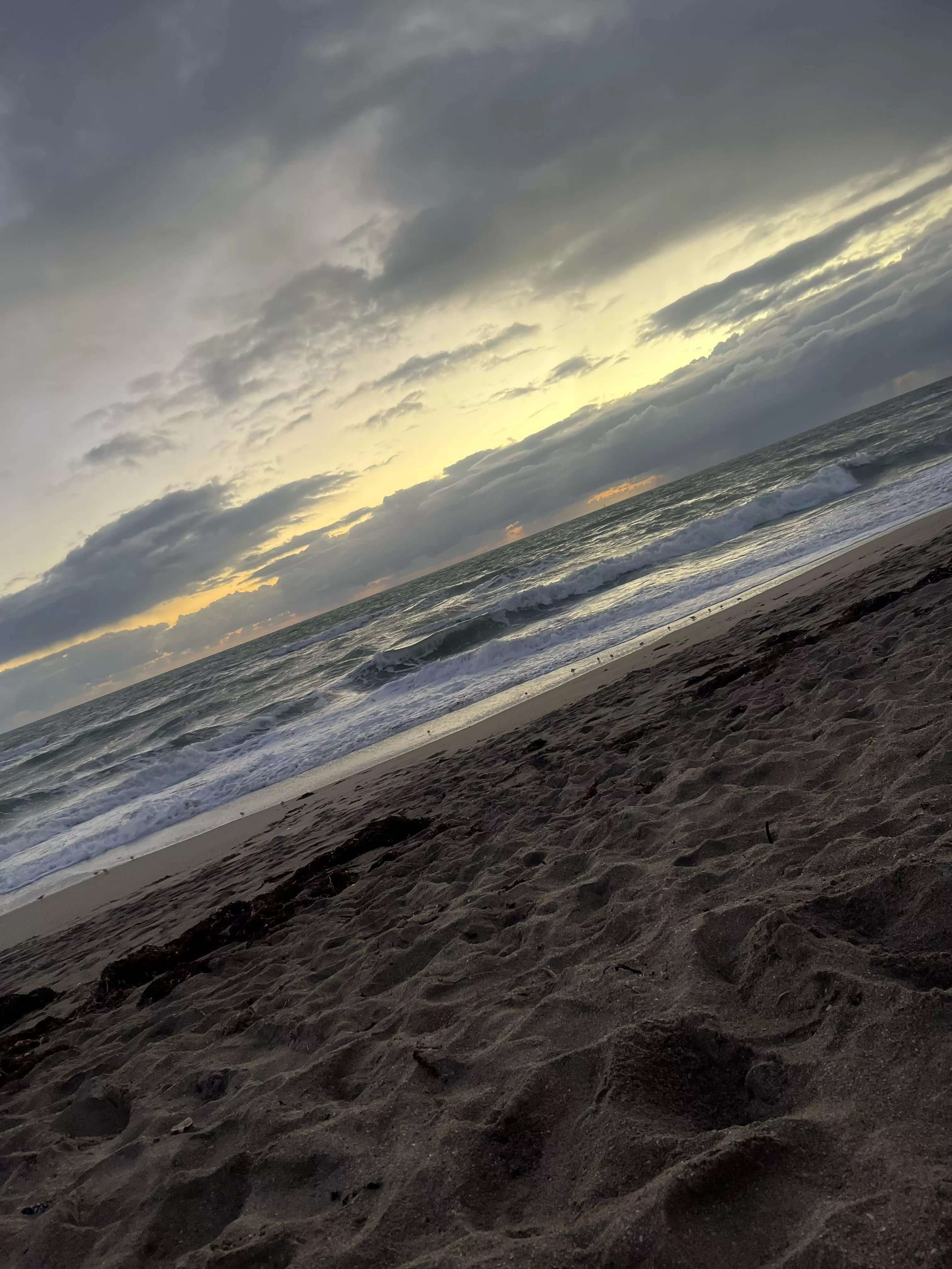 Great morning at the beach little windy but it’s nice