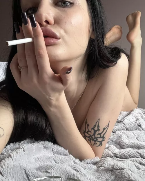 I know a thing or two about seducing you