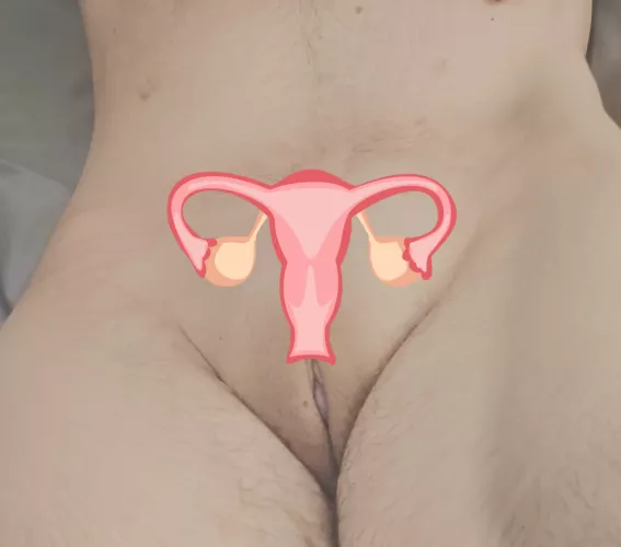 in heat and ovulating rn, need to be taught what that means and be taken care of ❤️