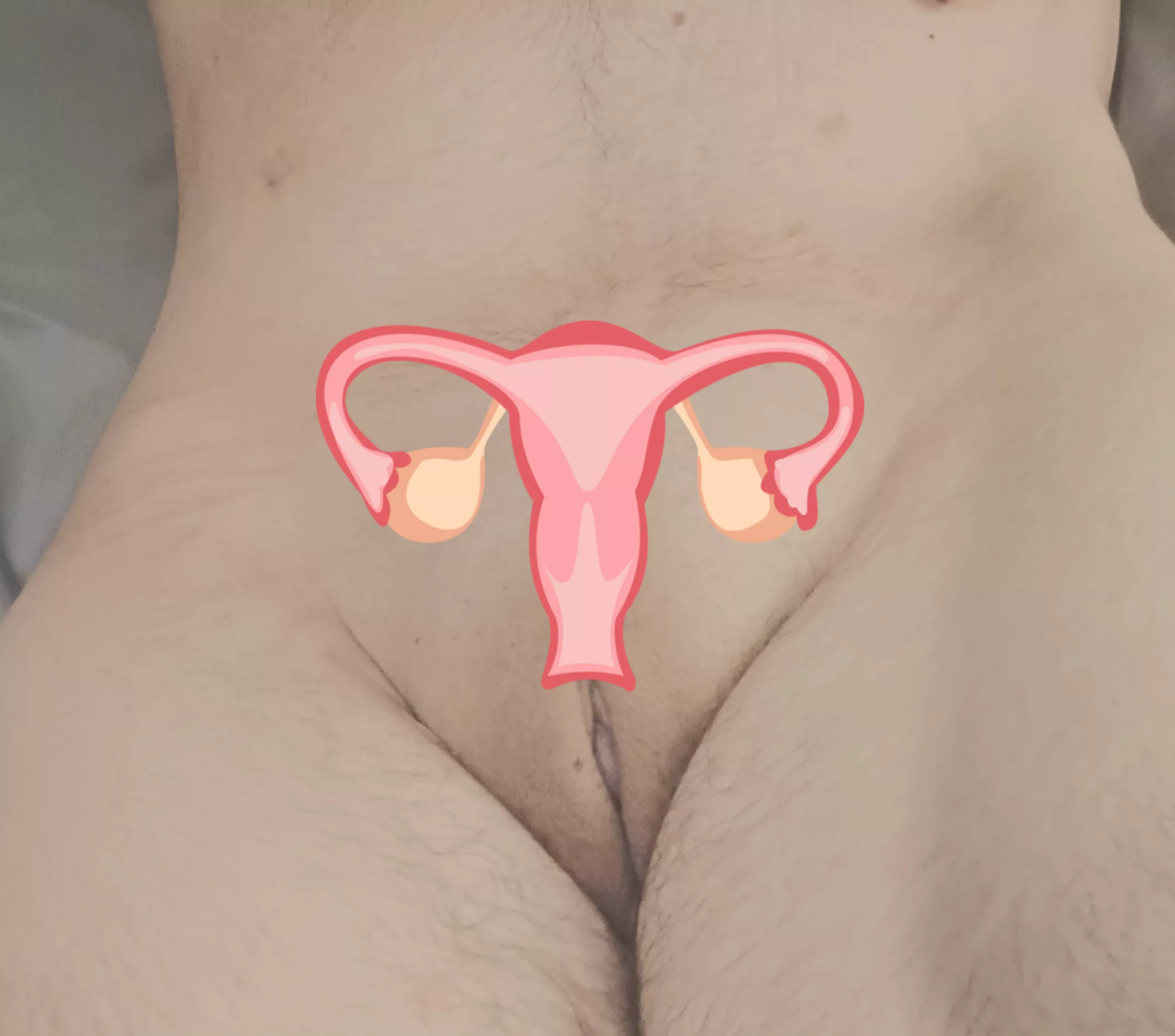 in heat and ovulating rn, need to be taught what that means and be taken care of ❤️