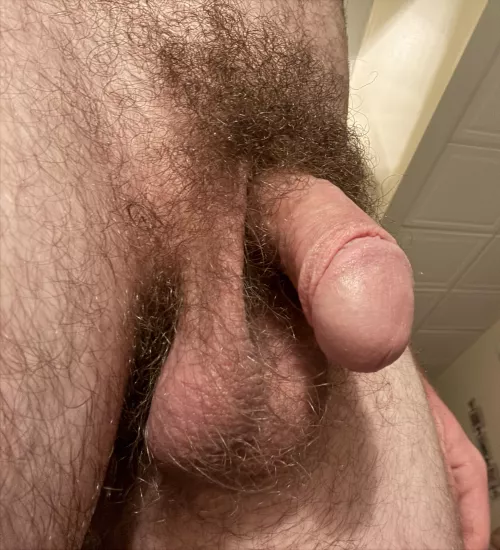 it’s been 2 years since i shaved