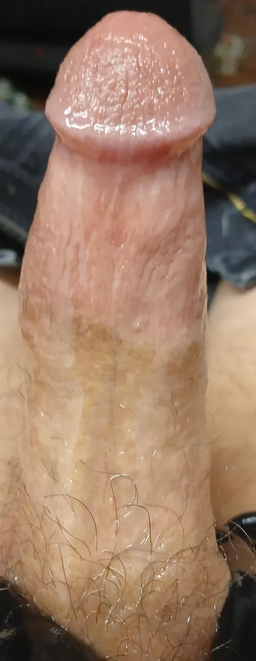 Look how shiny my dick is