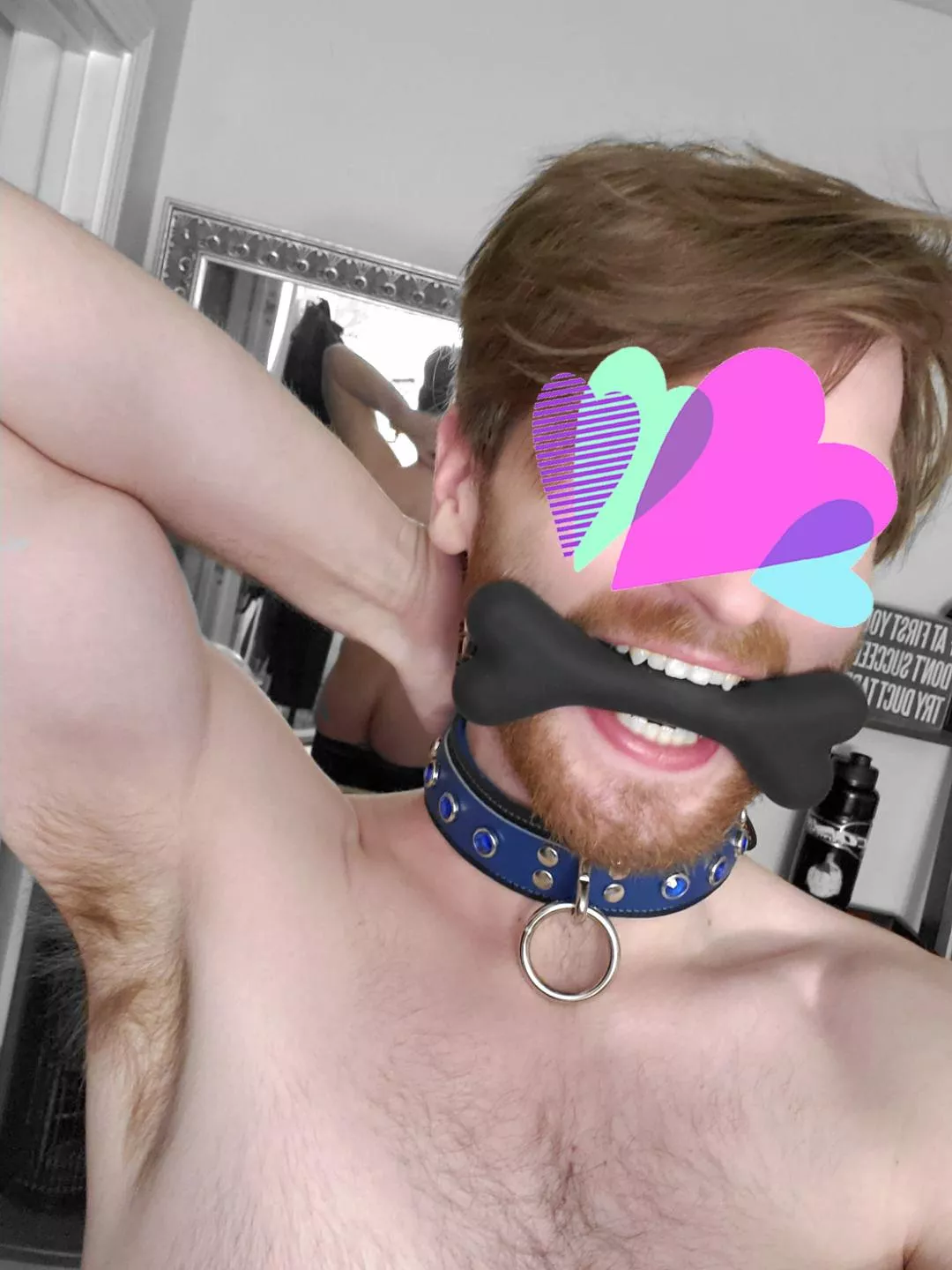 Look, new chew toy! Look... you're looking, right? 