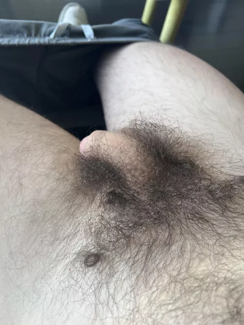 Morning hairy softie