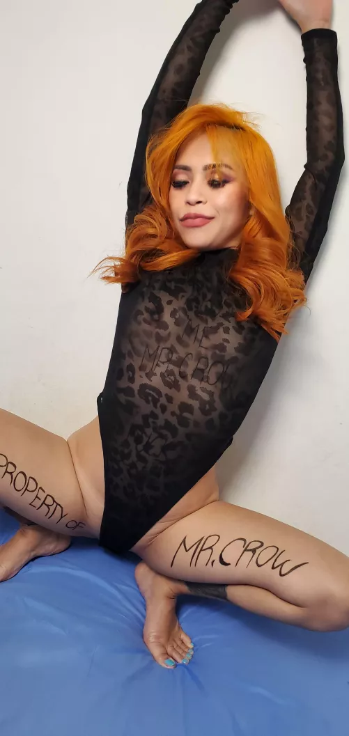 My hands are up, sir~