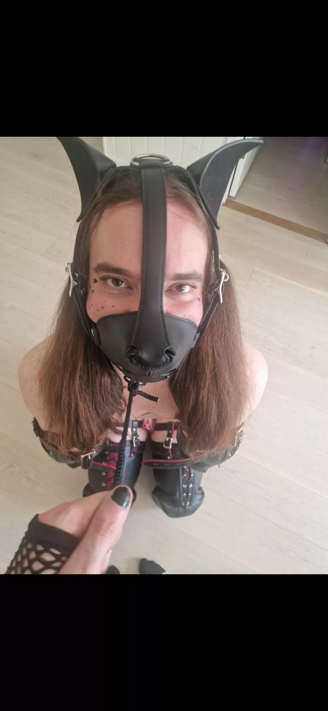 [OC] When are you letting me out of this fucking thing? 🙄