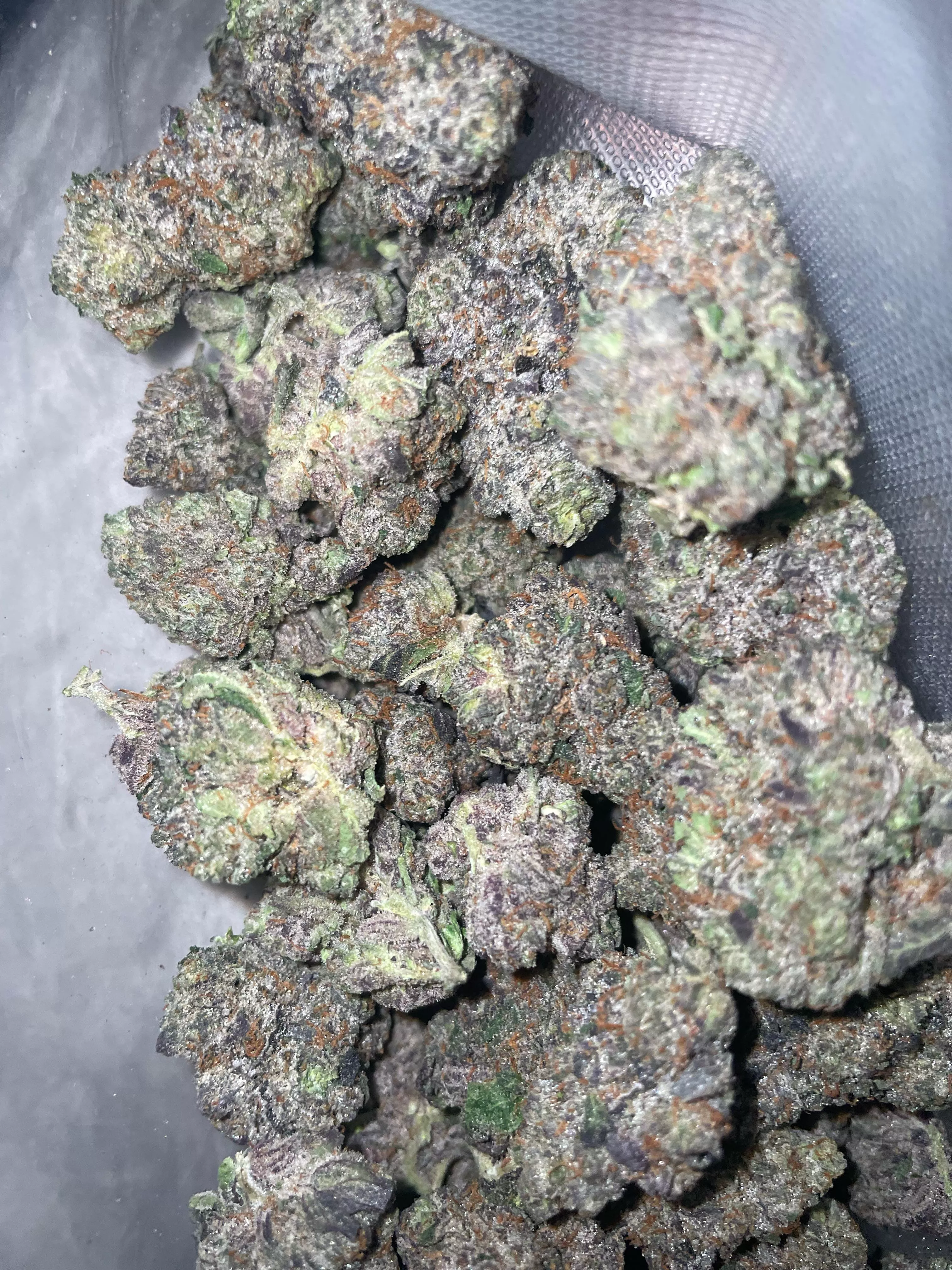 Purple Candy land 🍬 🔥📲