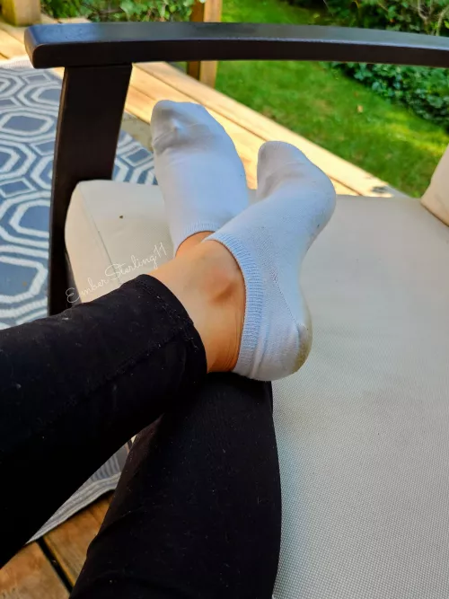 Sit down... these socks aren't going to sniff themselves. 😏 [f]