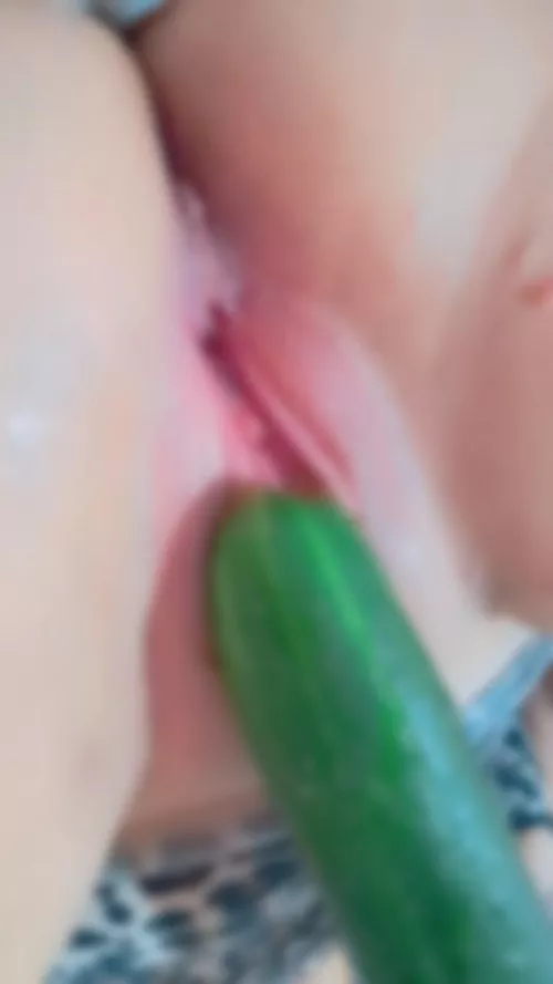 This cucumber has made me very horny