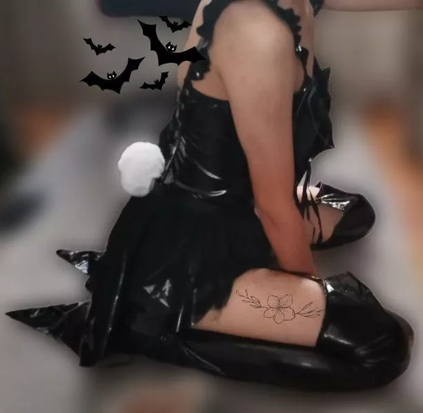 ✨What do you mean femboys can't be cute bunnies?✨