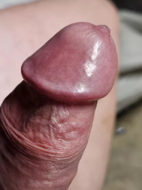 Any girls in the area keen for some fun 