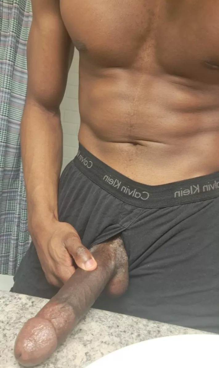 BBC Bull Looking For Fun 