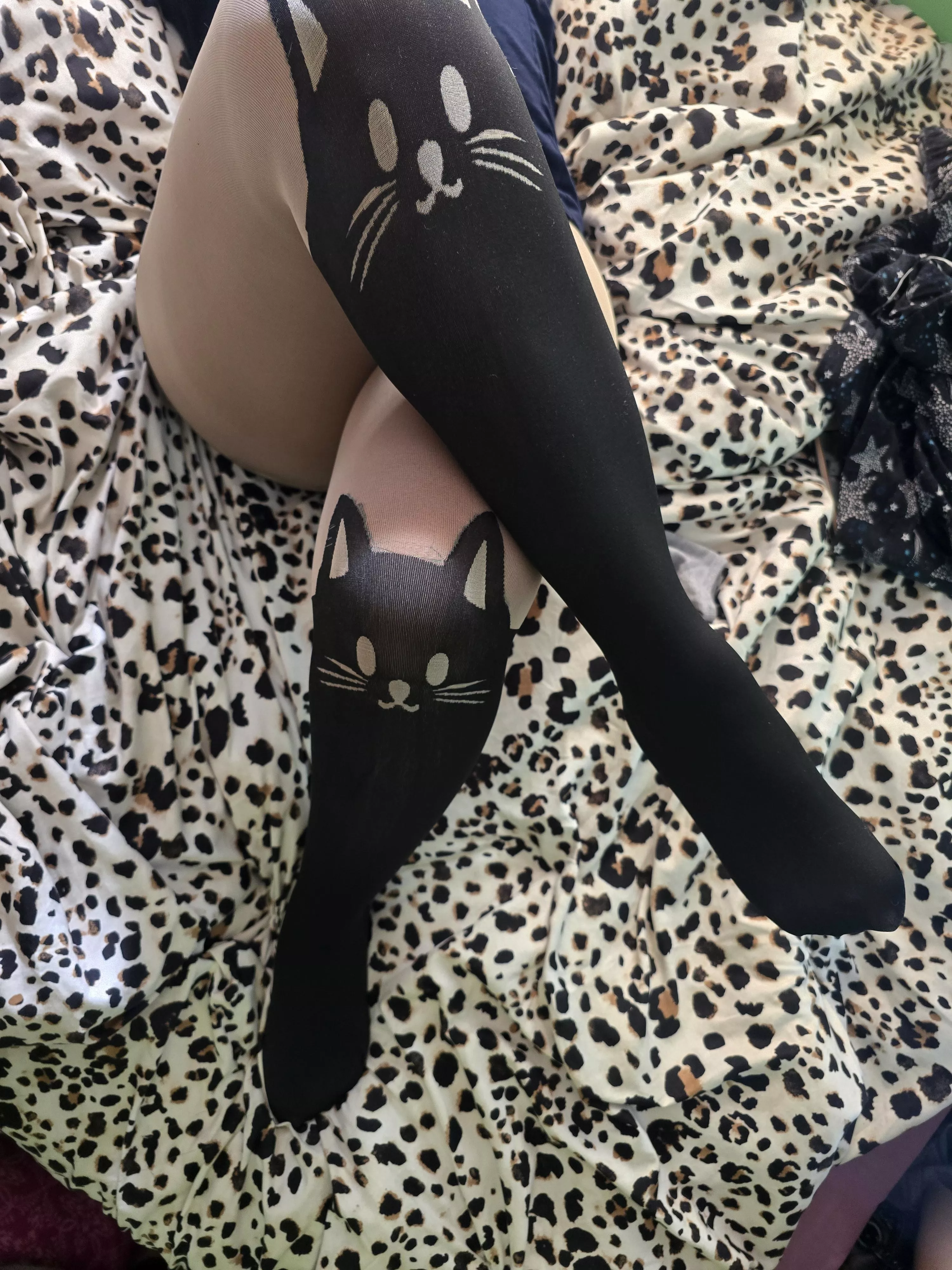 Her cat pantyhose 