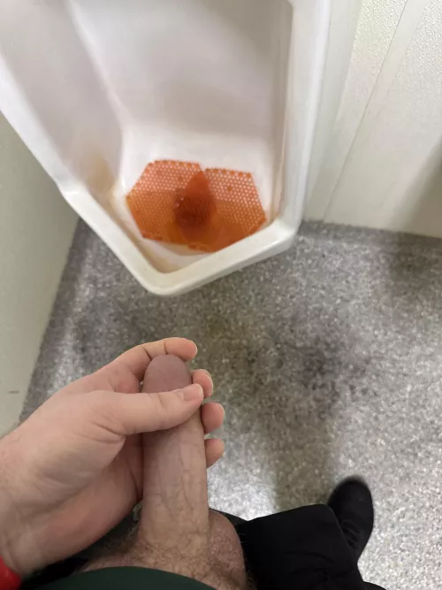 Horny at work in Annapolis. Get me hard? 