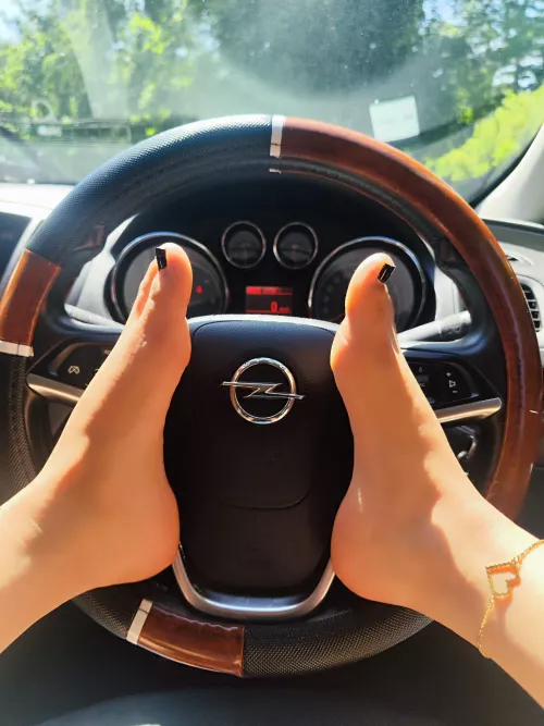 I cant keep my paws to myself 