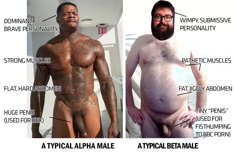 I took the liberty of using myself as one of the models for this useful infographic