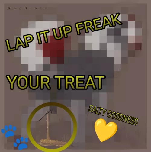 You are such a Freak 🐾💛