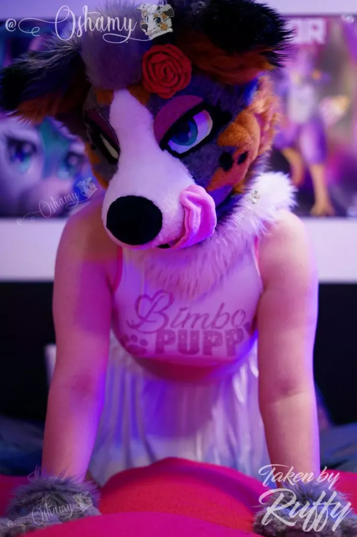 ~ Your puppy is waiting! 😇🥰💋