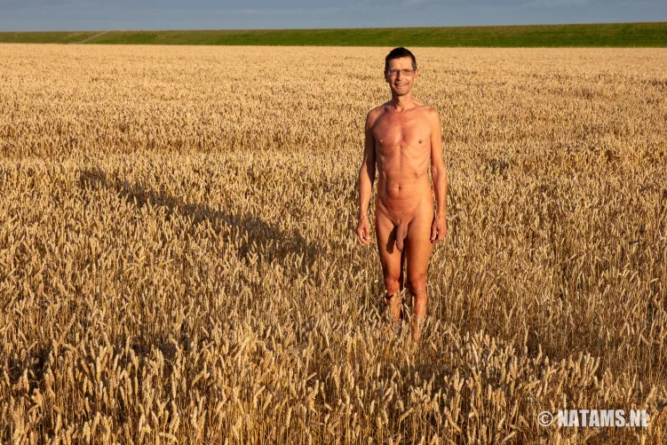 Early in the morning. Sunrise in the Netherlands last summer