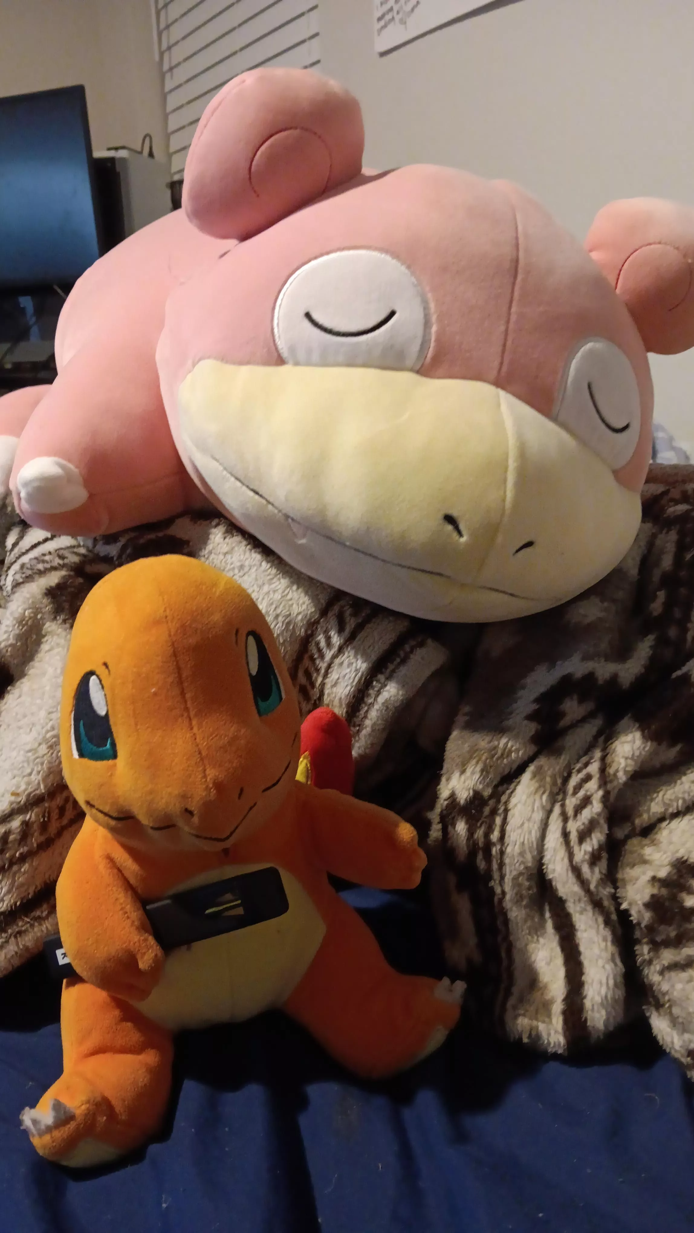 I adopted a Slowpoke today!