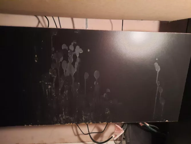 I got a little too excited on PH the other day 