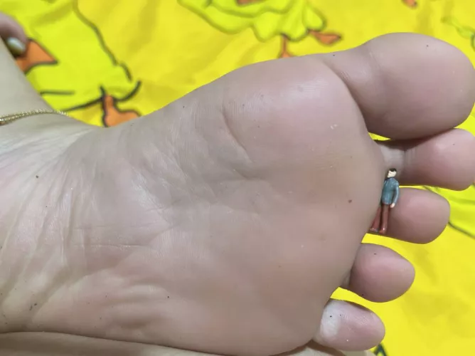 I went to go suck my wife's toes and found a tiny there. Time for a snack. (INSTAGRAM: gts_luna_soles)