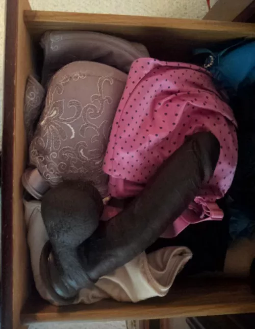 It started as a joke and took a surprising turn (26f)