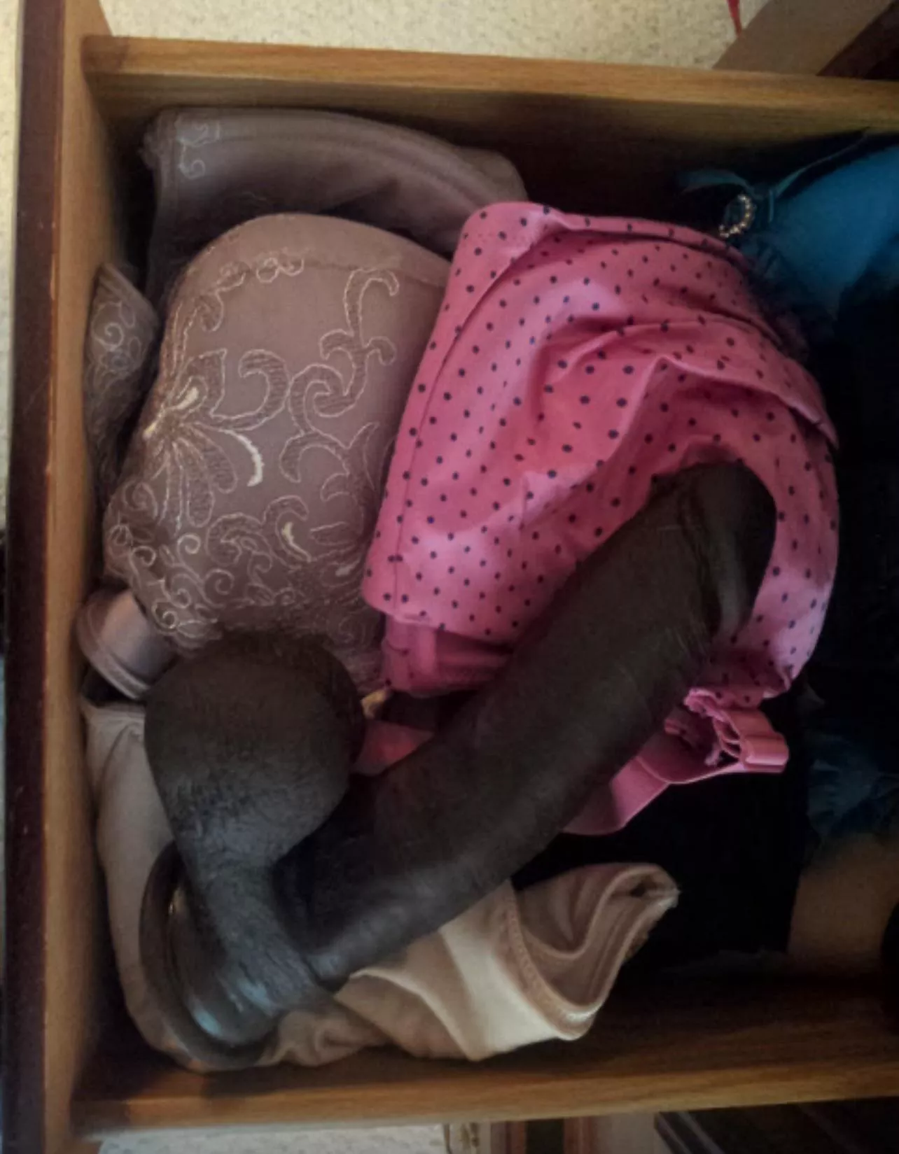 It started as a joke and took a surprising turn (26f)