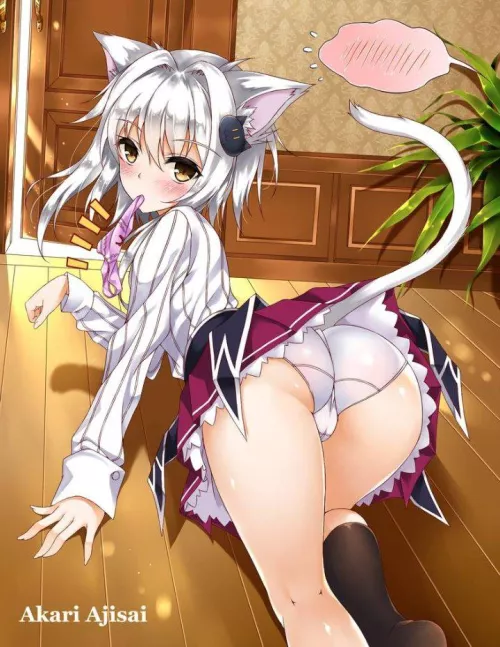 Koneko Nyannn~ 🐾