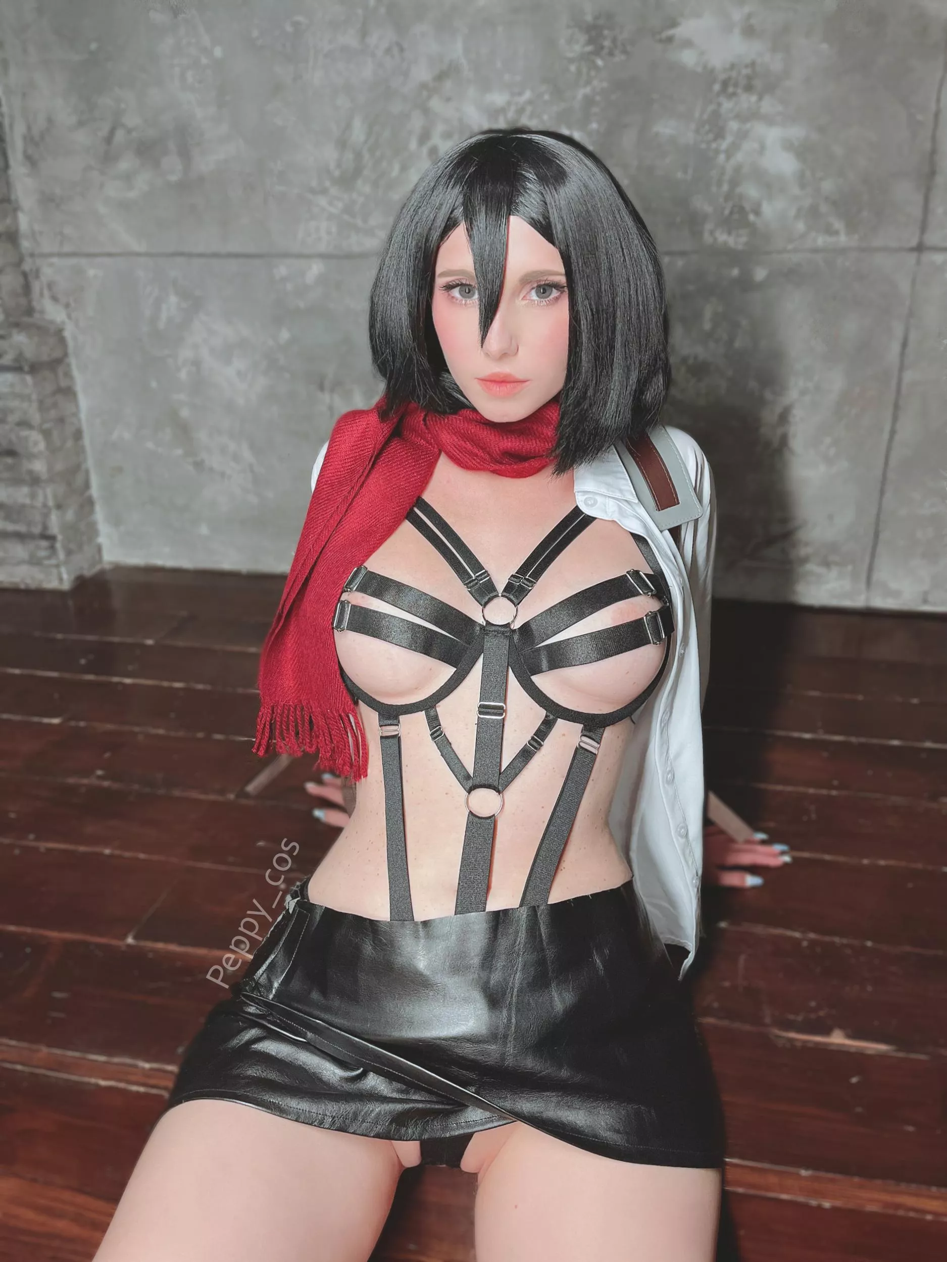 Mikasa by Peppy_cos