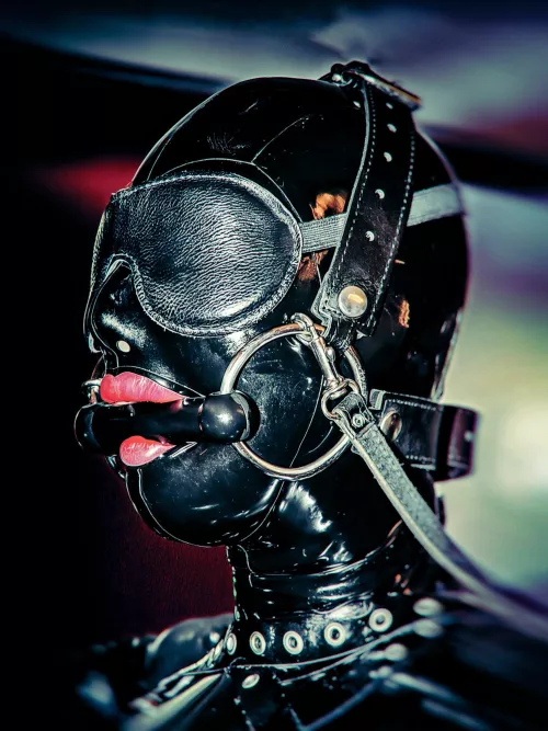 Ponygirl sensory deprivation