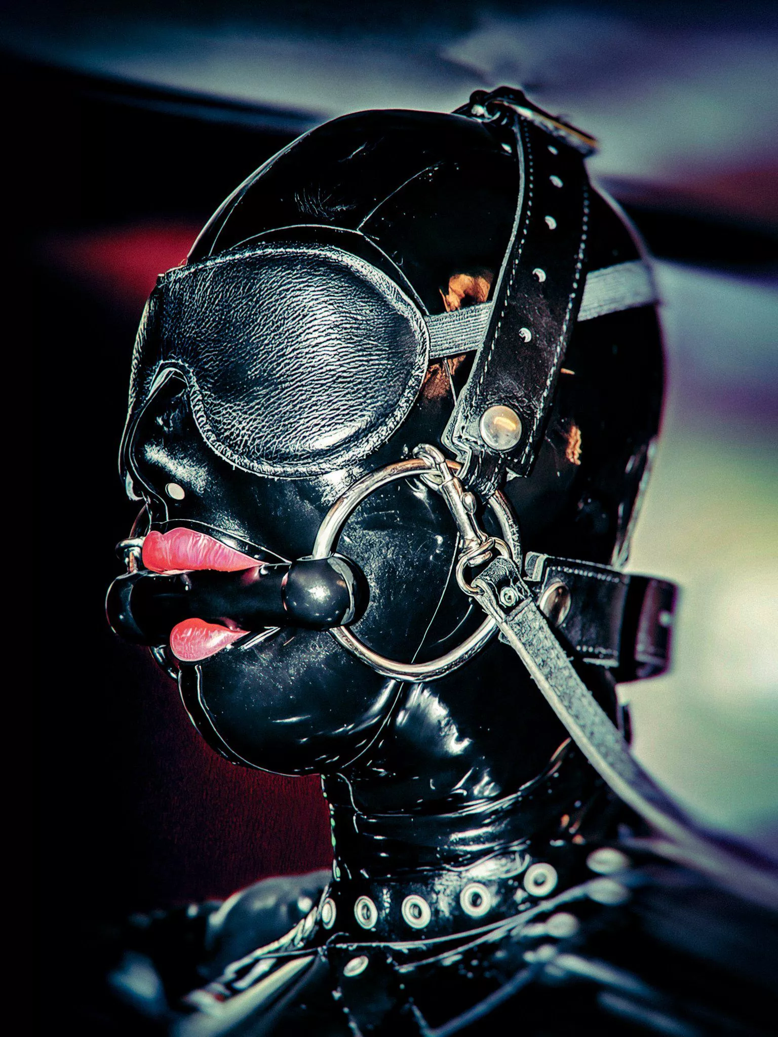 Ponygirl sensory deprivation