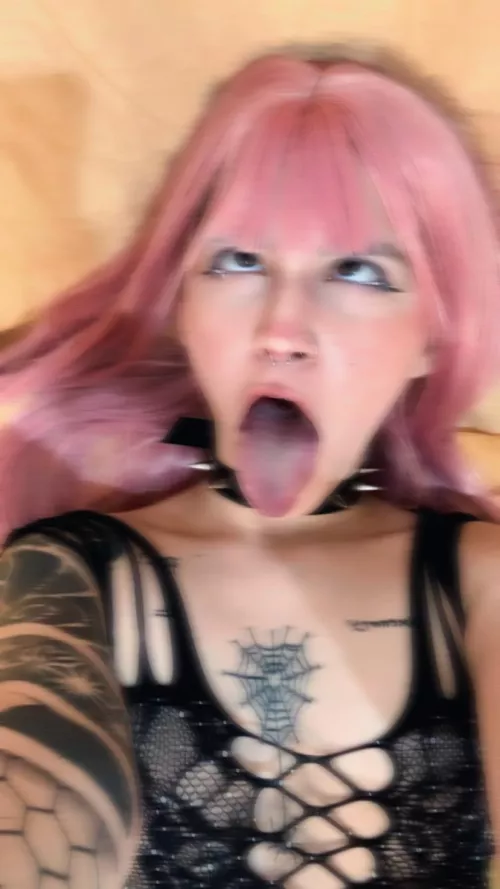 put whatever you want in my mouth