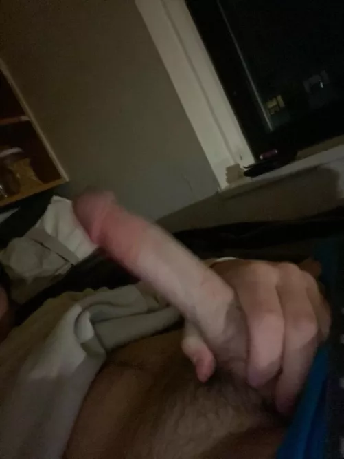 Rate this 19 year old cock 