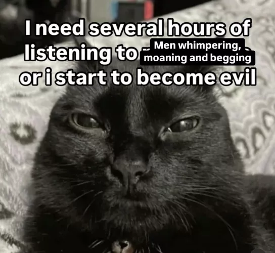 “This subreddit is supposed to be about us being horny lil fucks and shit.” - a fellow Cece enjoyer 🫡