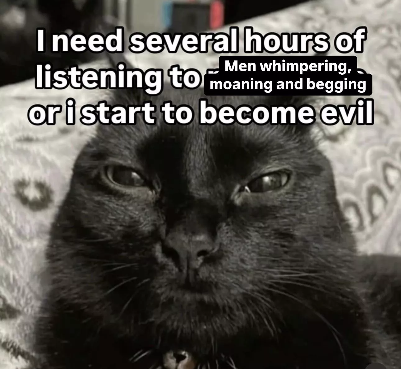 “This subreddit is supposed to be about us being horny lil fucks and shit.” - a fellow Cece enjoyer 🫡