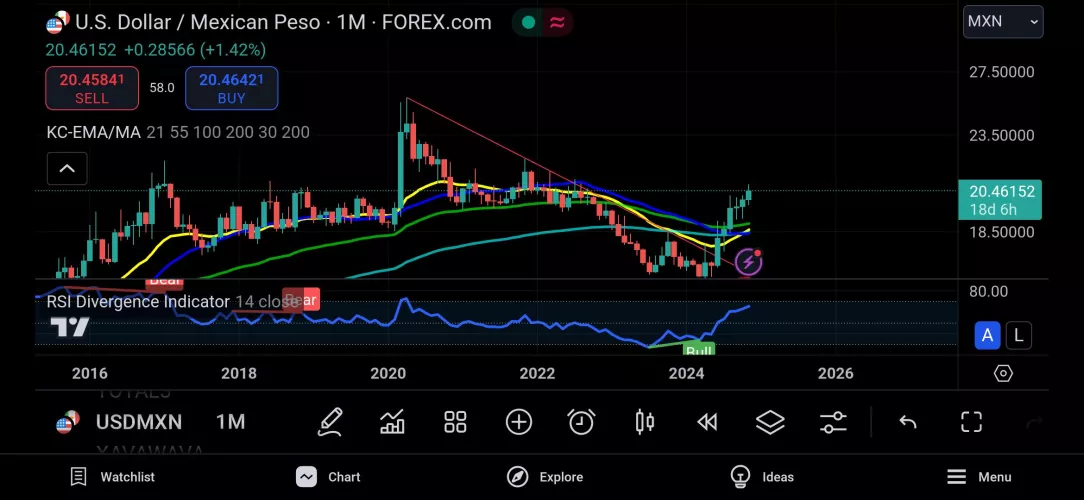 Usd vs peso long term