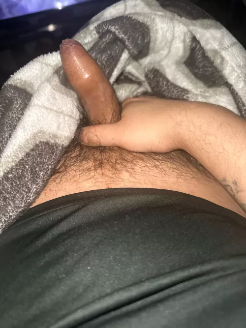 [21] SE Bellfort area 